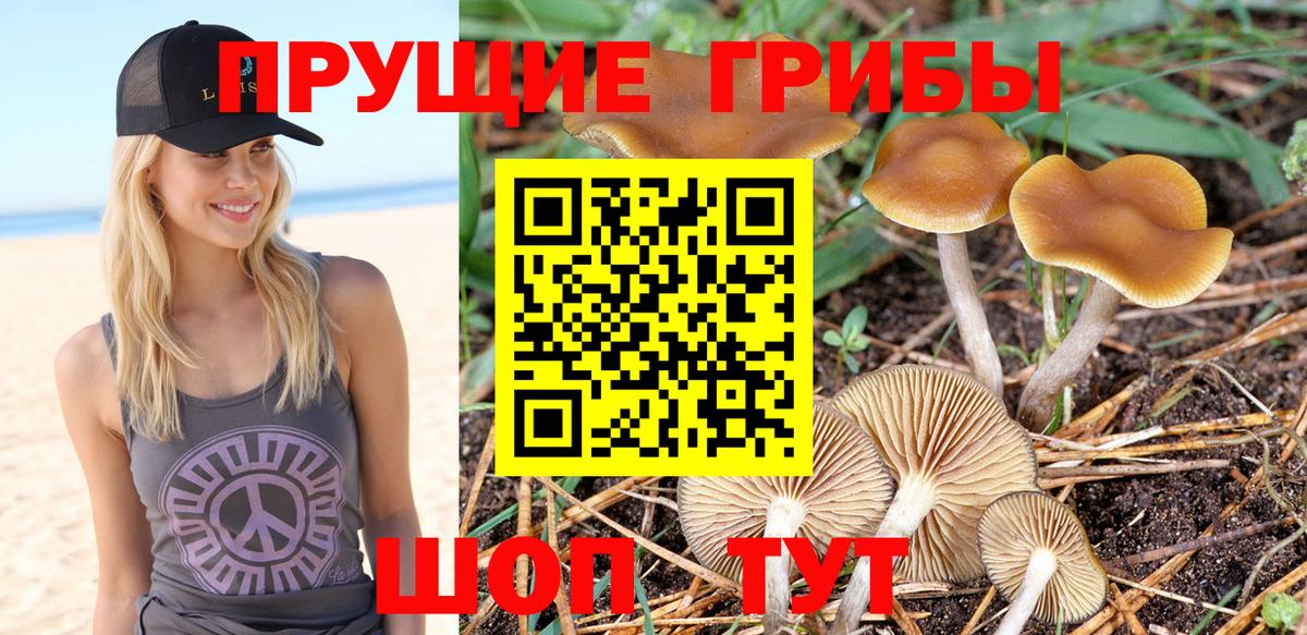 Псилоцибиновые грибы MAGIC MUSHROOMS Кумертау